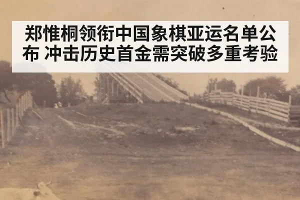郑惟桐领衔中国象棋亚运名单公布 冲击历史首金需突破多重考验