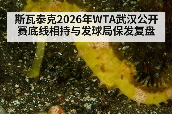 斯瓦泰克2026年WTA武汉公开赛底线相持与发球局保发复盘